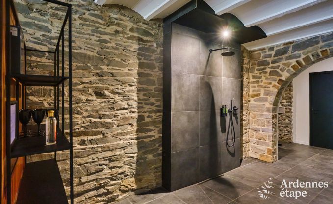 Prachtig kasteel voor 18 personen in Tenneville, Ardennen