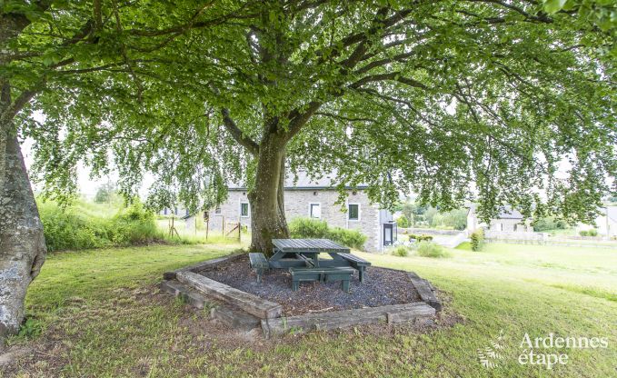 Luxe villa in Tenneville voor 28 personen in de Ardennen