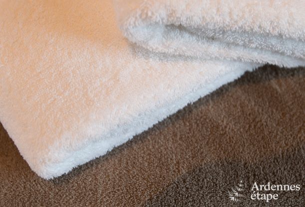 Vakantiehuis in Tenneville voor 8 personen in de Ardennen