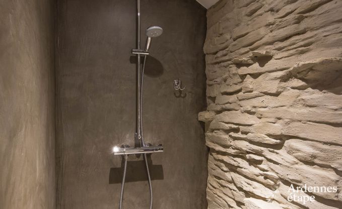 Vakantiehuis in Tenneville voor 13 personen in de Ardennen