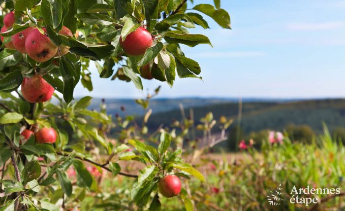 Cottage in Theux (Spa) voor 2 personen in de Ardennen