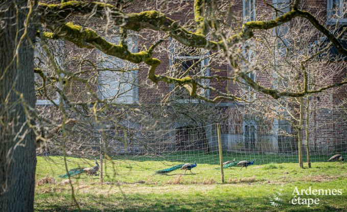 Luxe villa in Theux voor 10 personen met speelzaal, jacuzzi en nabijheid van Spa-Francorchamps