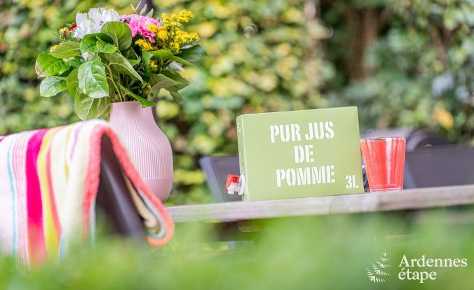 Vakantiehuis in Thuin voor 8 personen in de Ardennen