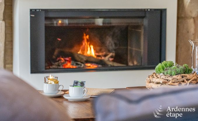 Vakantiehuis in Thuin voor 8 personen in de Ardennen