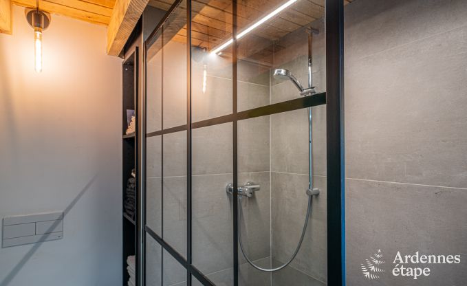 Volledig gerenoveerd vakantiehuis in het pittoreske dorpje Tinlot, Condroz