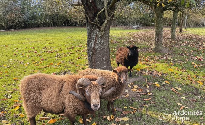 Ruime vakantiewoning voor 9 personen in Tinlot met 4 slaap- en badkamers,  zwembad, privtuin en speelvoorzieningen