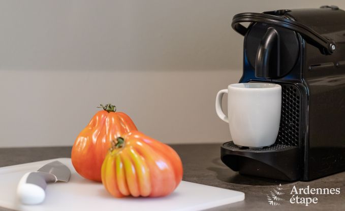 Vakantiehuis in Tinlot voor 2/4 personen in de Ardennen