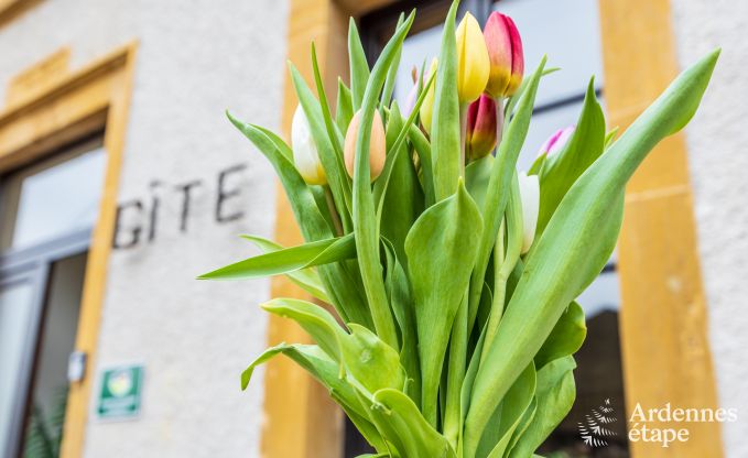 Vakantiehuis in Torgny voor 15 personen in de Ardennen