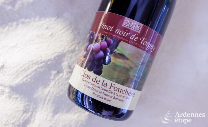 Vakantiehuis in Torgny voor 6/8 personen in de Ardennen