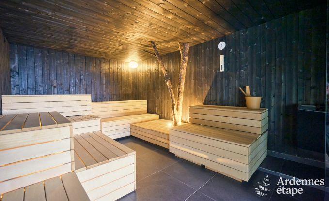 Ruime luxe vakantiewoning met binnenzwembad in Trois-Ponts, Ardennen
