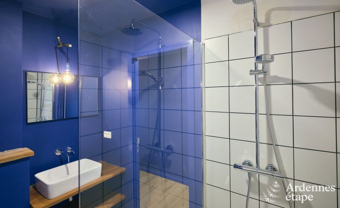 Ruime luxe vakantiewoning met binnenzwembad in Trois-Ponts, Ardennen