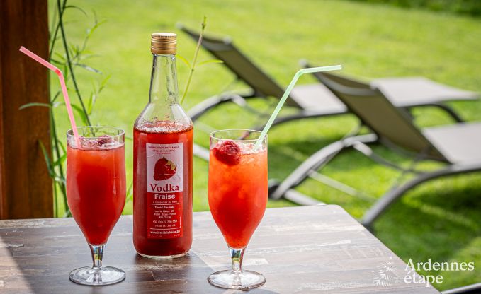 Gezellig vakantiehuis in Trois-Ponts voor 4 personen met sauna, jacuzzi en zwembad dichtbij het bos