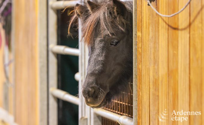 Vakantie op de boerderij in Vaux-sur-S�re voor 7 personen in de Ardennen