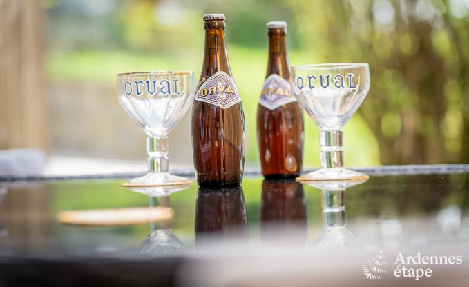 Uniek vakantiehuis met 2 slaapkamers in Vaux-sur-Sure