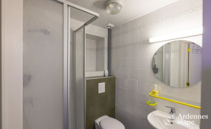 Vakantie op de boerderij in Vaux-sur-S�re voor 9 personen in de Ardennen