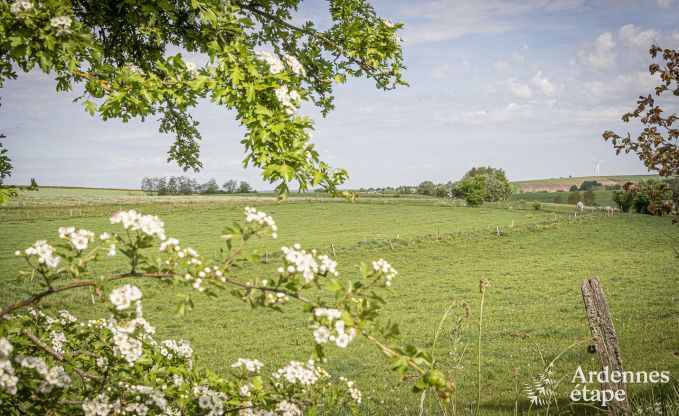 Luxe villa in Vaux-sur-s�re voor 12 personen in de Ardennen