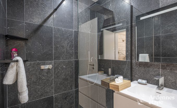 Luxe villa in Vaux-sur-s�re voor 12 personen in de Ardennen