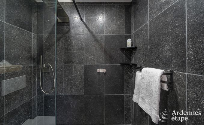 Luxe villa in Vaux-sur-s�re voor 12 personen in de Ardennen