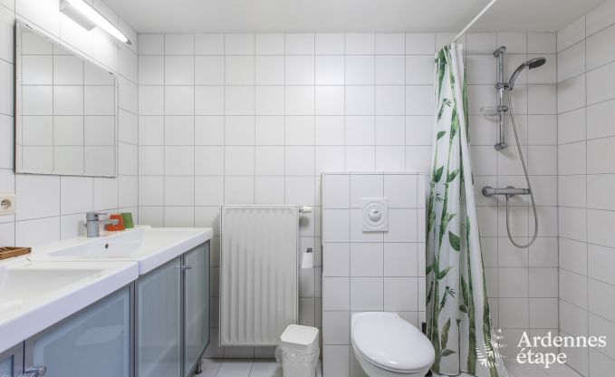 Luxueus vakantiehuis met sauna te huur voor 22 personen in Vielsalm