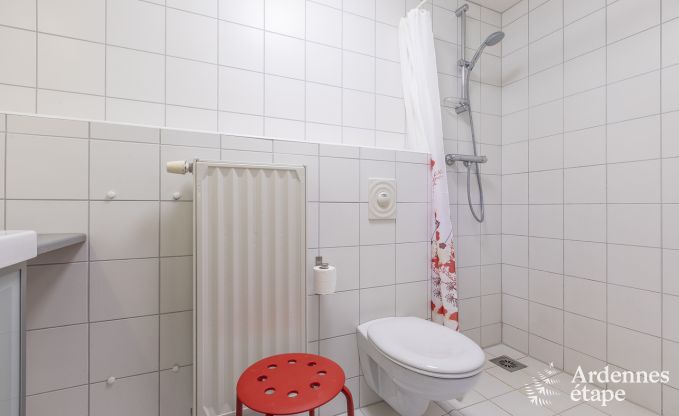 Ruim vakantiehuis in Vielsalm voor 22 personen met 10 slaapkamers, speelruimte, sauna en grote tuin