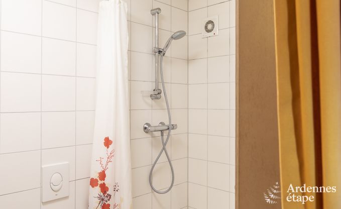 Ruim vakantiehuis in Vielsalm voor 22 personen met 10 slaapkamers, speelruimte, sauna en grote tuin