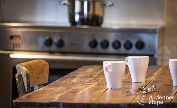 Vakantiehuis in Vielsalm voor 14 personen in de Ardennen