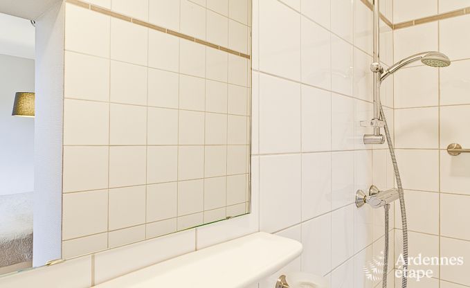 Vakantiehuis in Vielsalm voor 10 personen in de Ardennen