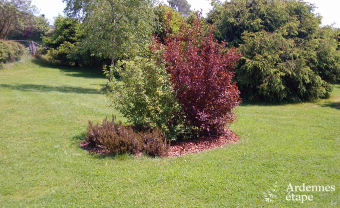 Groot vakantiehuis vlakbij Vielsalm voor 21 personen met 7 slaapkamers, 4 badkamers, speelruimte en privtuin