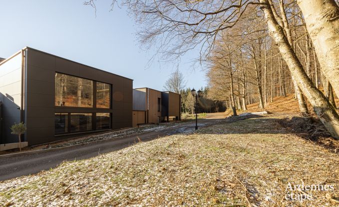 Comfortabel en modern vakantiehuis in  het bos, Vielsalm - Ardennen.