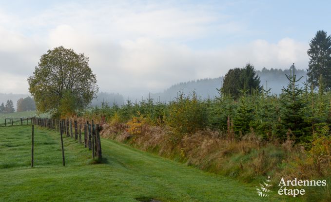 Vakantiehuis in Vielsalm voor 4 personen in de Ardennen