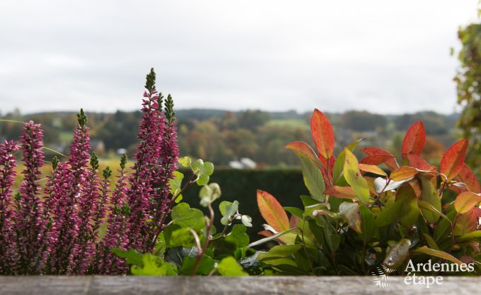 Vakantiehuis in Vielsalm voor 4 personen in de Ardennen
