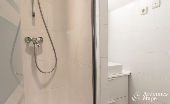 Vakantiehuis in Vielsalm voor 6 personen in de Ardennen