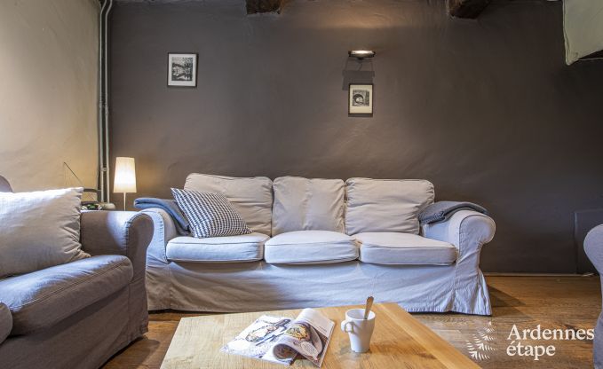 Vakantiehuis in Vielsalm voor 14 personen in de Ardennen