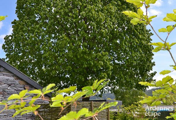 Vakantiehuis in Vielsalm voor 2 personen in de Ardennen