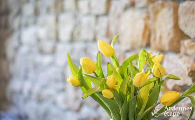 Vakantiehuis in Vielsalm voor 14 personen in de Ardennen