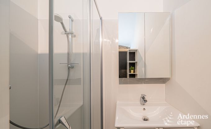 Vakantiehuis in Vielsalm voor 9 personen in de Ardennen