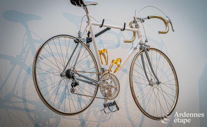 Vakantiehuis in Vielsalm voor 9 personen in de Ardennen