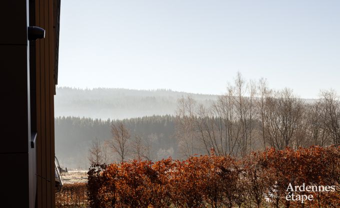 Vakantiewoning voor 9 personen in Vielsalm, Ardennen