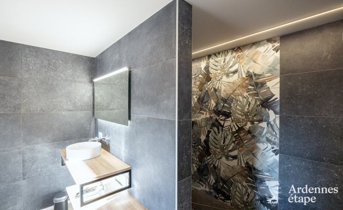 Vakantiewoning voor 9 personen in Vielsalm, Ardennen