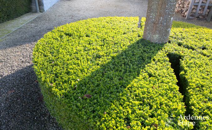 Vakantiehuis in Vielsalm voor 9 personen in de Ardennen