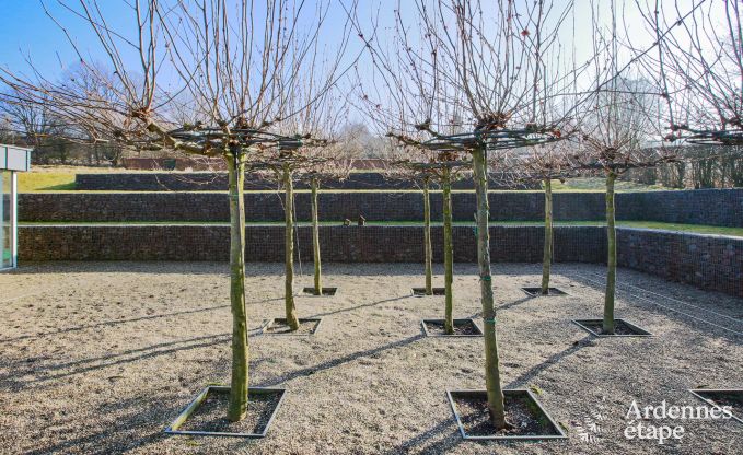 Vakantiehuis in Vielsalm voor 13/15 personen in de Ardennen