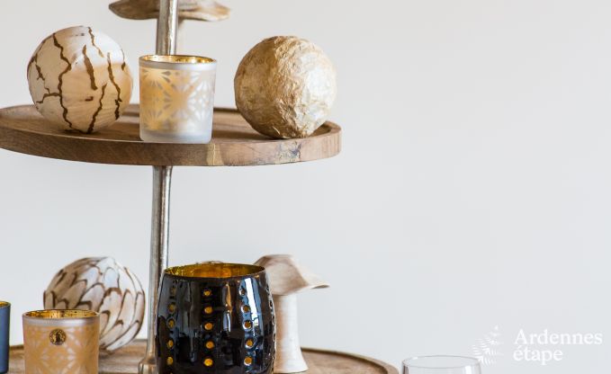 Vakantiehuis in Vielsalm voor 13/15 personen in de Ardennen