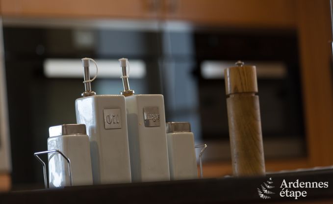 Vakantiehuis in Vielsalm voor 13/15 personen in de Ardennen