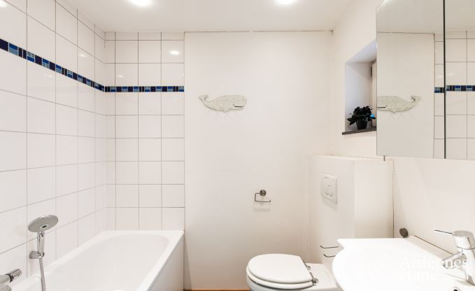 Vakantiehuis in Vielsalm voor 13/15 personen in de Ardennen