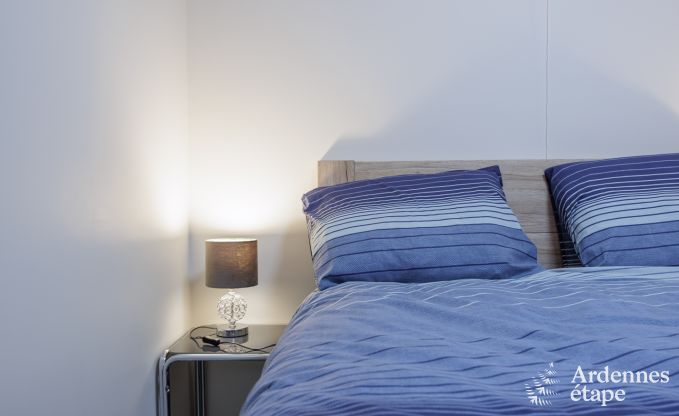 Vakantiehuis in Vierves-sur-Viroin voor 18/20 personen in de Ardennen