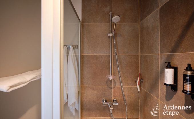 Comfortabele vakantiewoning voor 10 personen in Villers-en-Fagne met overdekt buitenzwembad en jacuzzi