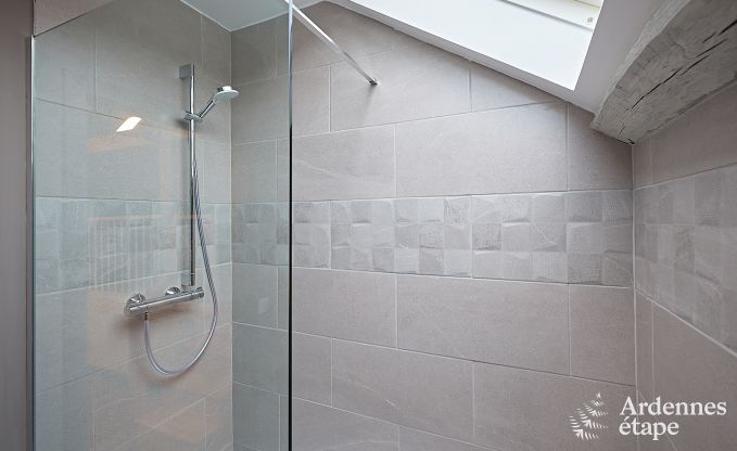 Vakantiehuis in Viroinval voor 15 personen in de Ardennen