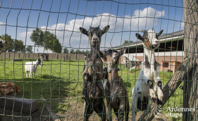 Vakantiehuis in Voeren voor 6/8 personen in de Ardennen