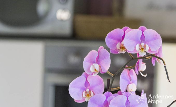 Vakantiehuis in Voeren voor 6/8 personen in de Ardennen