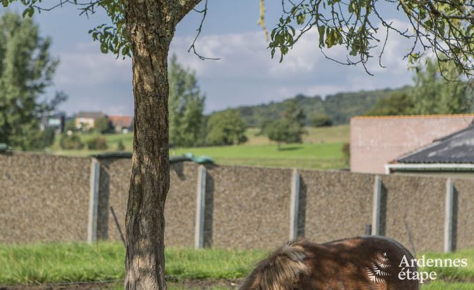 Vakantiehuis in Voeren voor 20/24 personen in de Ardennen